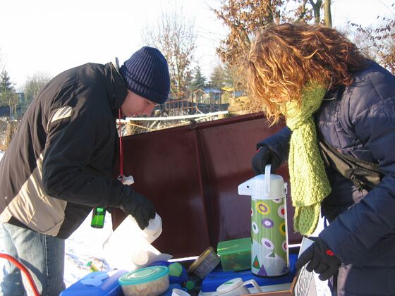 Click to See Next Image